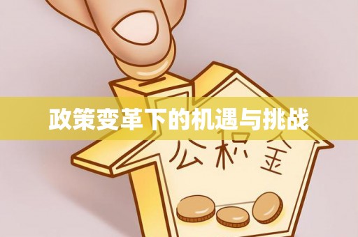 崆峒政策变革下的机遇与挑战