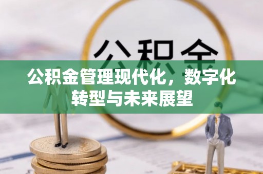崆峒公积金管理现代化，数字化转型与未来展望